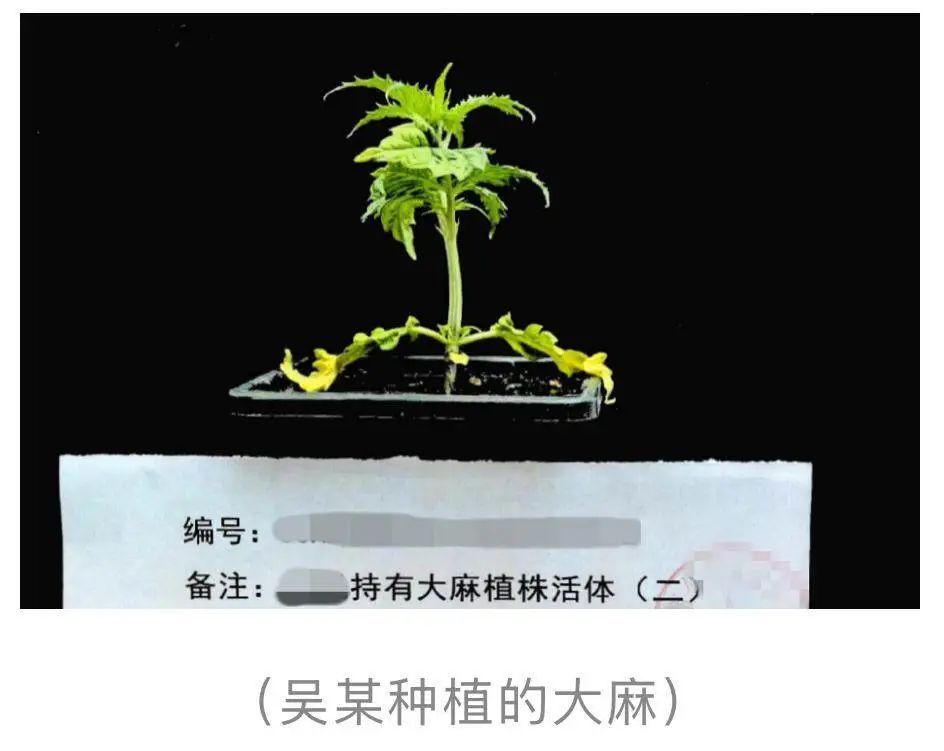 这对夫妻,双双被抓! 这对夫妻,双双被抓!