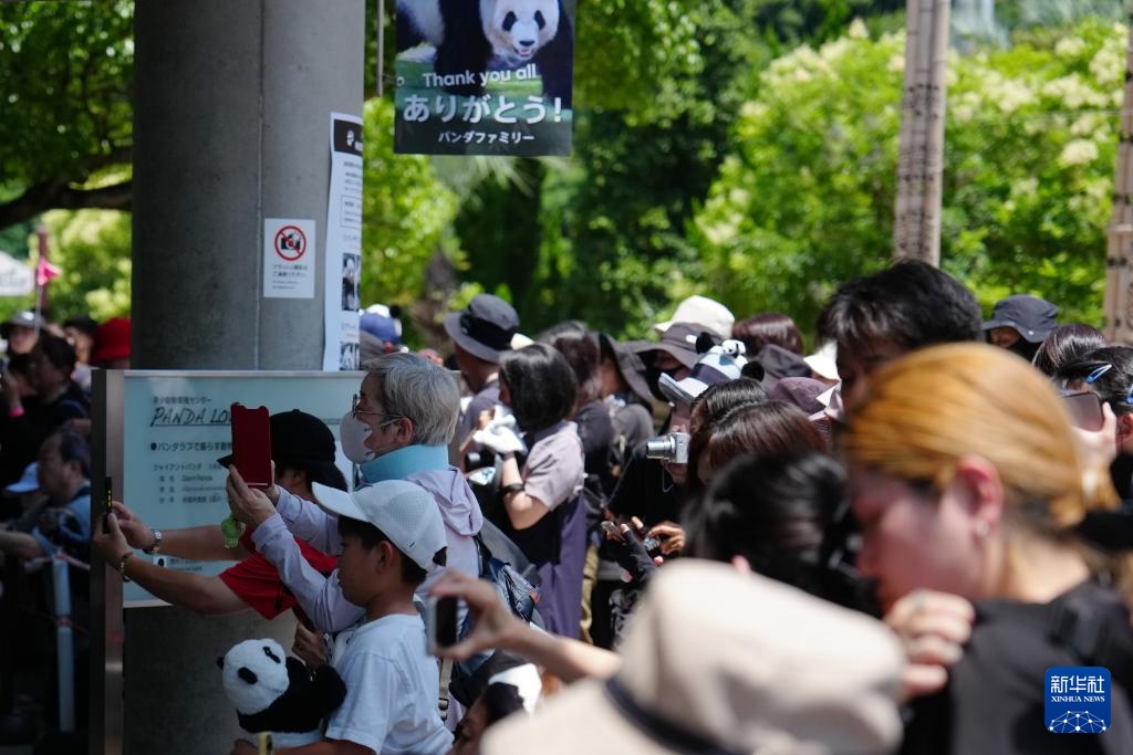 日本和歌山县四只旅日大熊猫即将回国 日本和歌山县四只旅日大熊猫即将回国