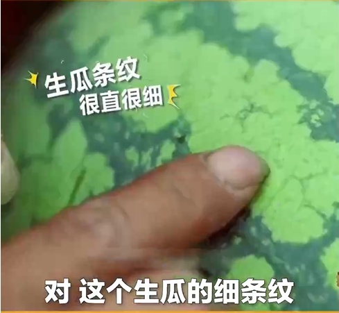 不想开到“生瓜蛋子”,夏天这七种水果就得这样挑!(非常实用版) 不想开到“生瓜蛋子”,夏天这七种水果就得这样挑!(非常实用版)