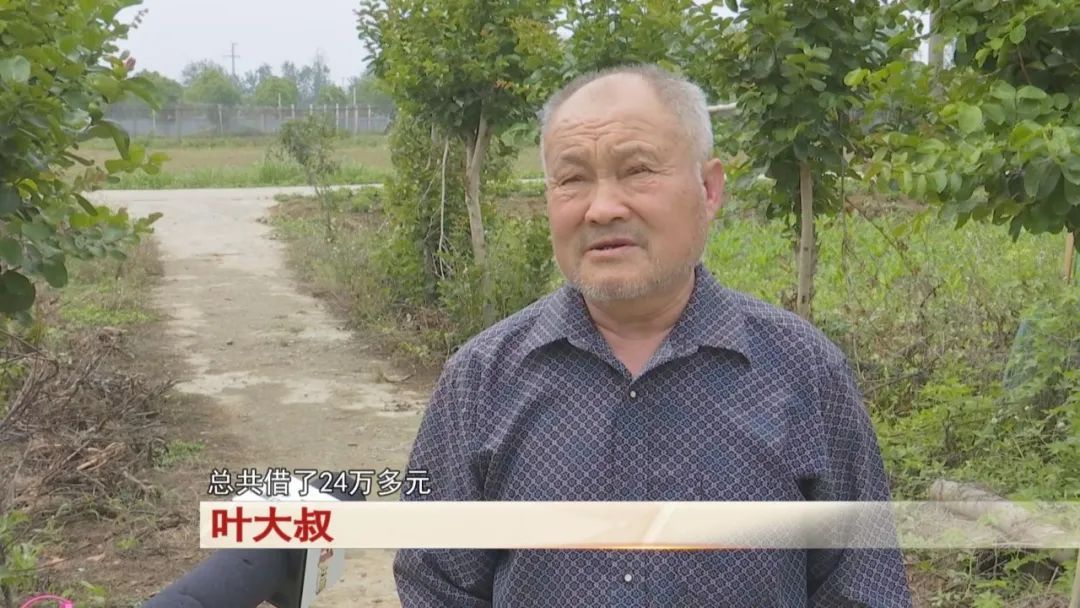 陌生女子上门借钱,掏空老人养老钱! 陌生女子上门借钱,掏空老人养老钱!