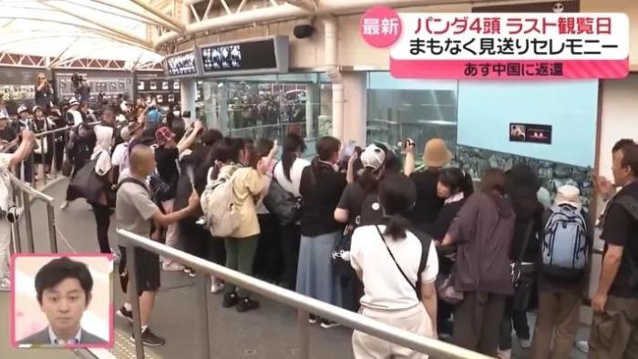 4只旅日大熊猫将回国 日本民众：“感谢带来的美好回忆”