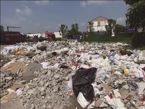 成片成堆!小区业主窗户都不敢开……问题出在这 成片成堆!小区业主窗户都不敢开……问题出在这