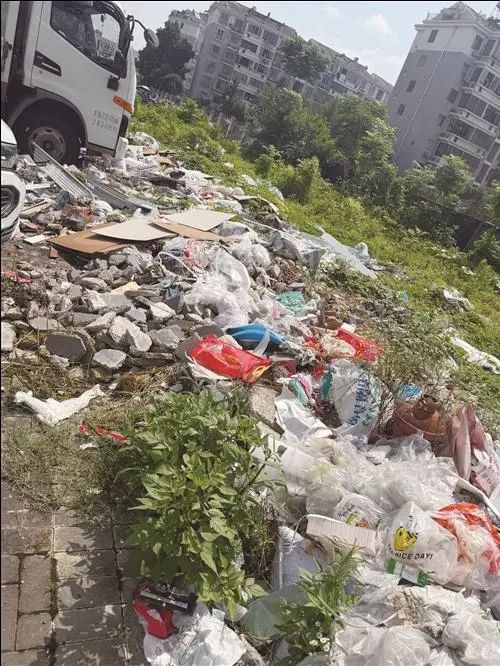 成片成堆!小区业主窗户都不敢开……问题出在这 成片成堆!小区业主窗户都不敢开……问题出在这