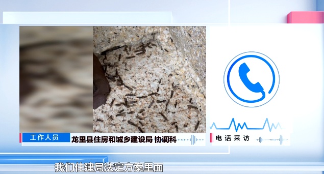 头皮发麻！贵州阿姨家中不断出现黑色昆虫：根本喷杀不完，更担心的是……