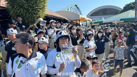 4只旅日大熊猫启程回国 4只旅日大熊猫启程回国