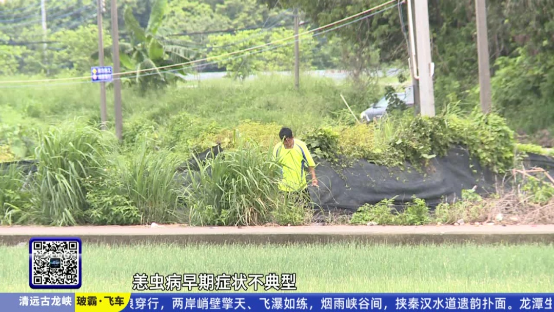 不是感冒，严重可致死！目前正是高发季，已有人中招