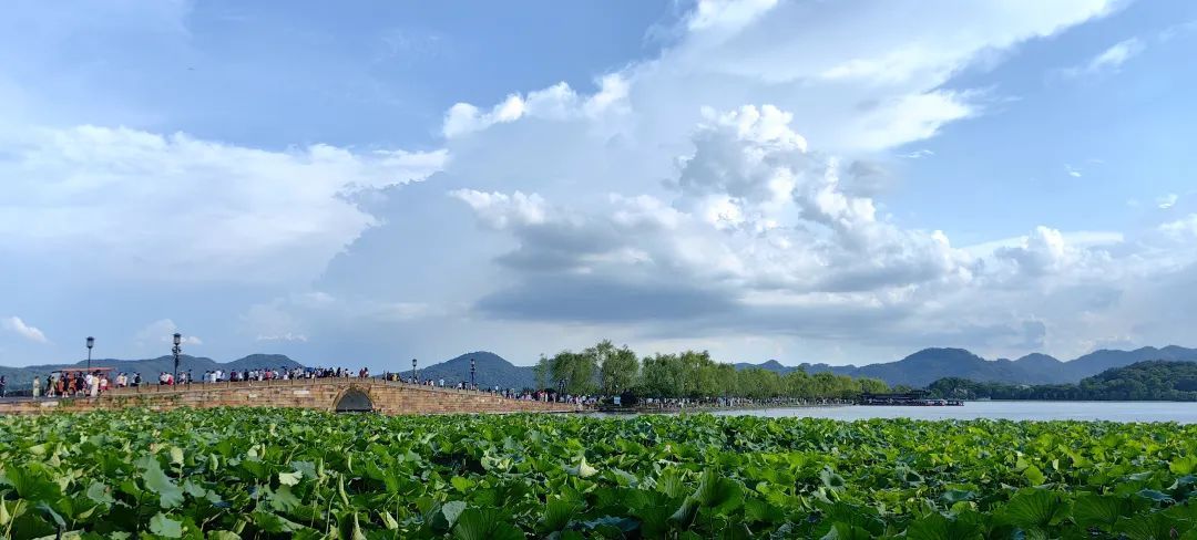 热热热！直冲39℃！杭州人，这件事情一定要注意！