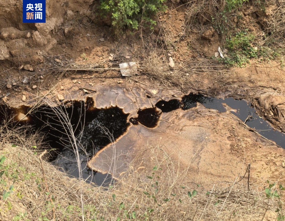 涉违规填埋、污水直排等问题，多地被通报！