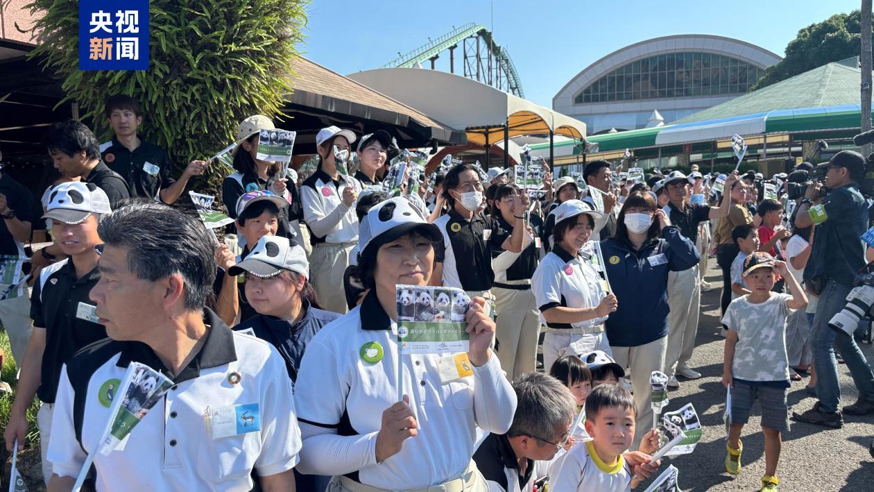 4只旅日大熊猫出发前往关西机场 今日将搭专机回国 4只旅日大熊猫出发前往关西机场 今日将搭专机回国