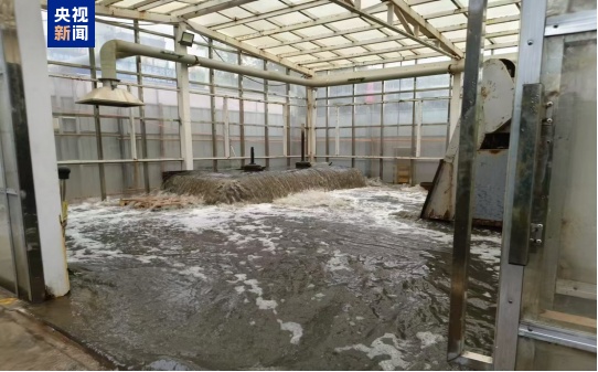 涉违规填埋、污水直排等问题，多地被通报！