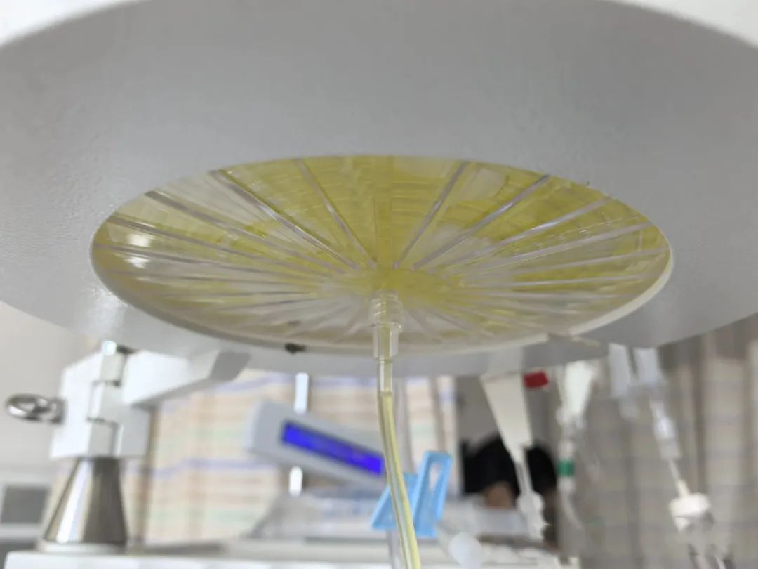 提醒!高发季来了,“以为睡一觉就好”,67岁上海阿姨差点就半身不遂 提醒!高发季来了,“以为睡一觉就好”,67岁上海阿姨差点就半身不遂