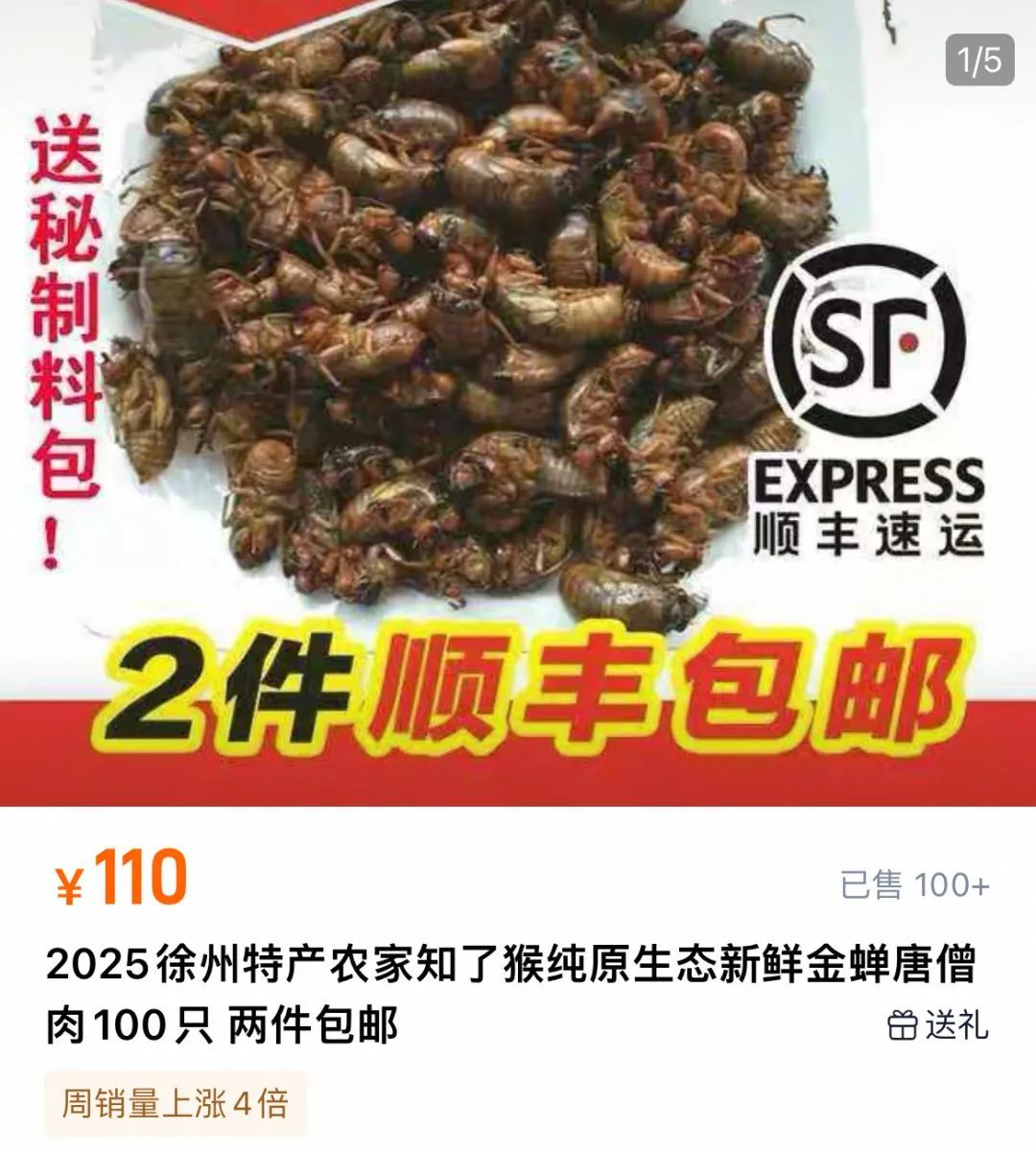 1元1只卖爆了！浙江有人专门晚上出去抓