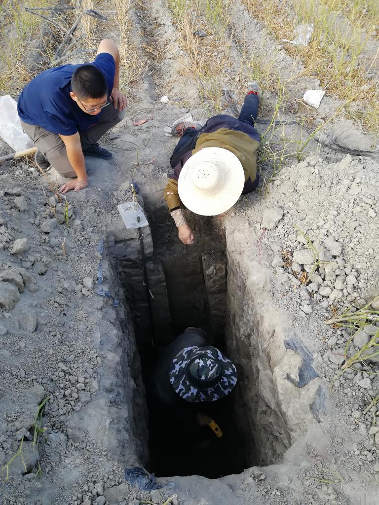 4900万亩富硒土地!新疆南疆发现一条近千公里“硒腰带” 4900万亩富硒土地!新疆南疆发现一条近千公里“硒腰带”