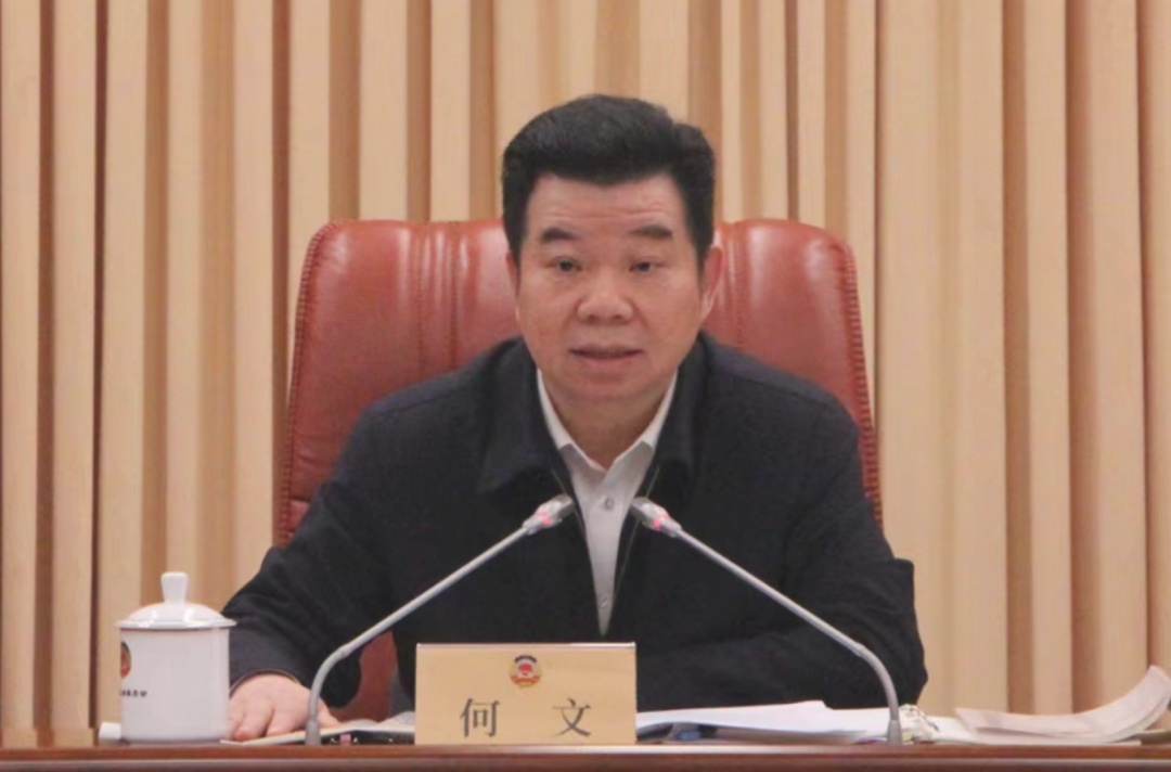 湖北深夜官宣:何文被查 湖北深夜官宣:何文被查