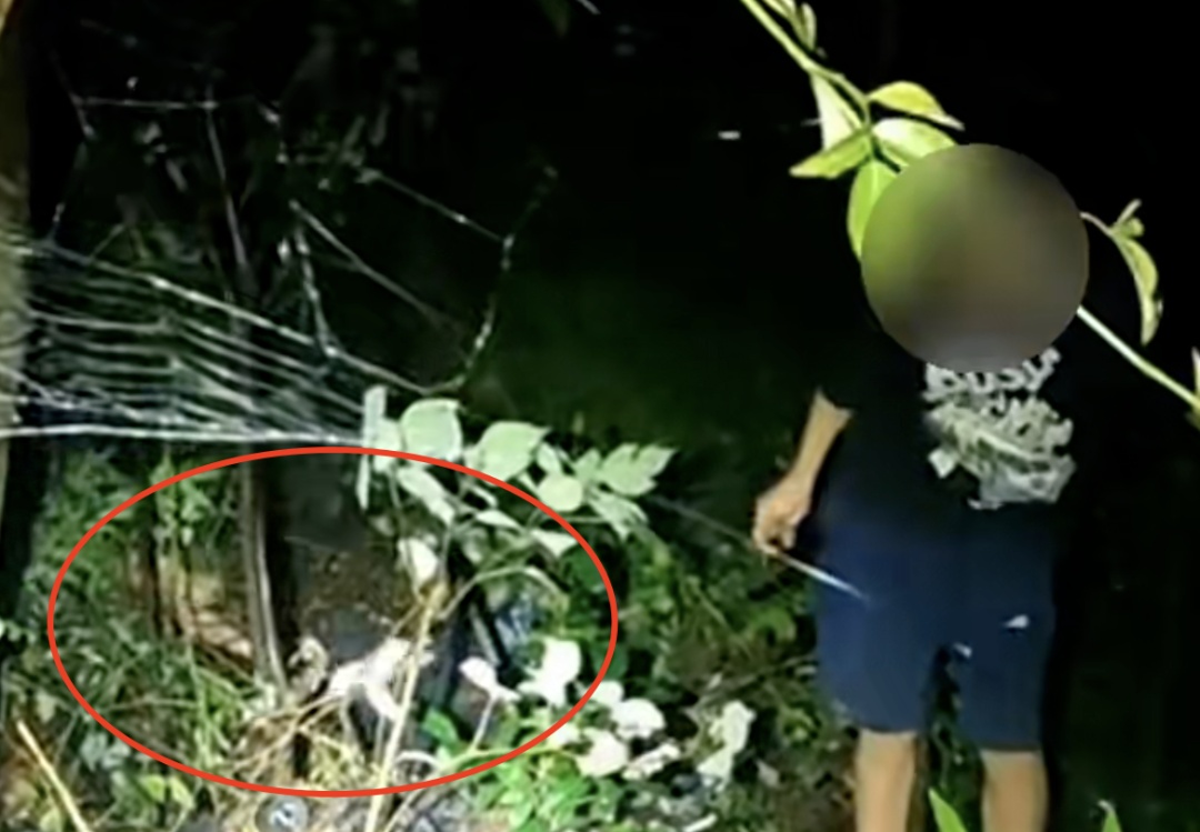 醉汉救醉汉，哥们两人齐齐摔进5米深陡峭土坡......