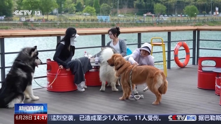 狂犬病传播不止于“犬” 伤口没出血也要打疫苗