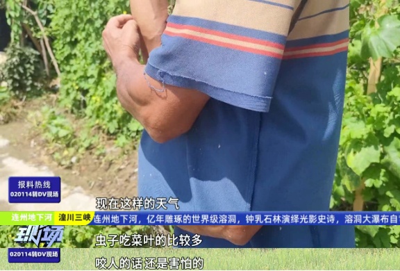不是感冒，严重可致死！目前正是高发季，已有人中招