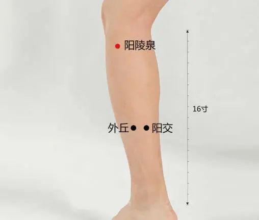 腿上出现4种怪象，要当心了！