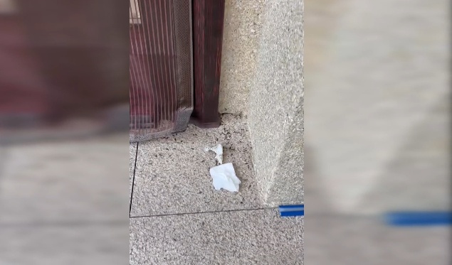 头皮发麻！贵州阿姨家中不断出现黑色昆虫：根本喷杀不完，更担心的是……