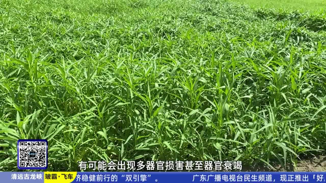 不是感冒，严重可致死！目前正是高发季，已有人中招