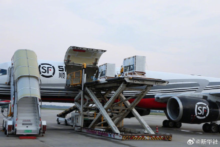 欢迎回家！旅日大熊猫回国高清大图