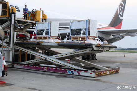 欢迎回家！旅日大熊猫回国高清大图