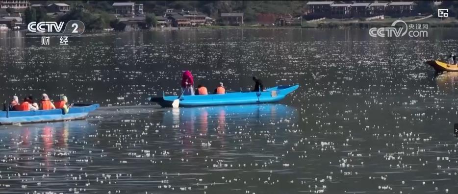 生态之花绽放:一湖清水见证绿色发展红利 生态之花绽放:一湖清水见证绿色发展红利