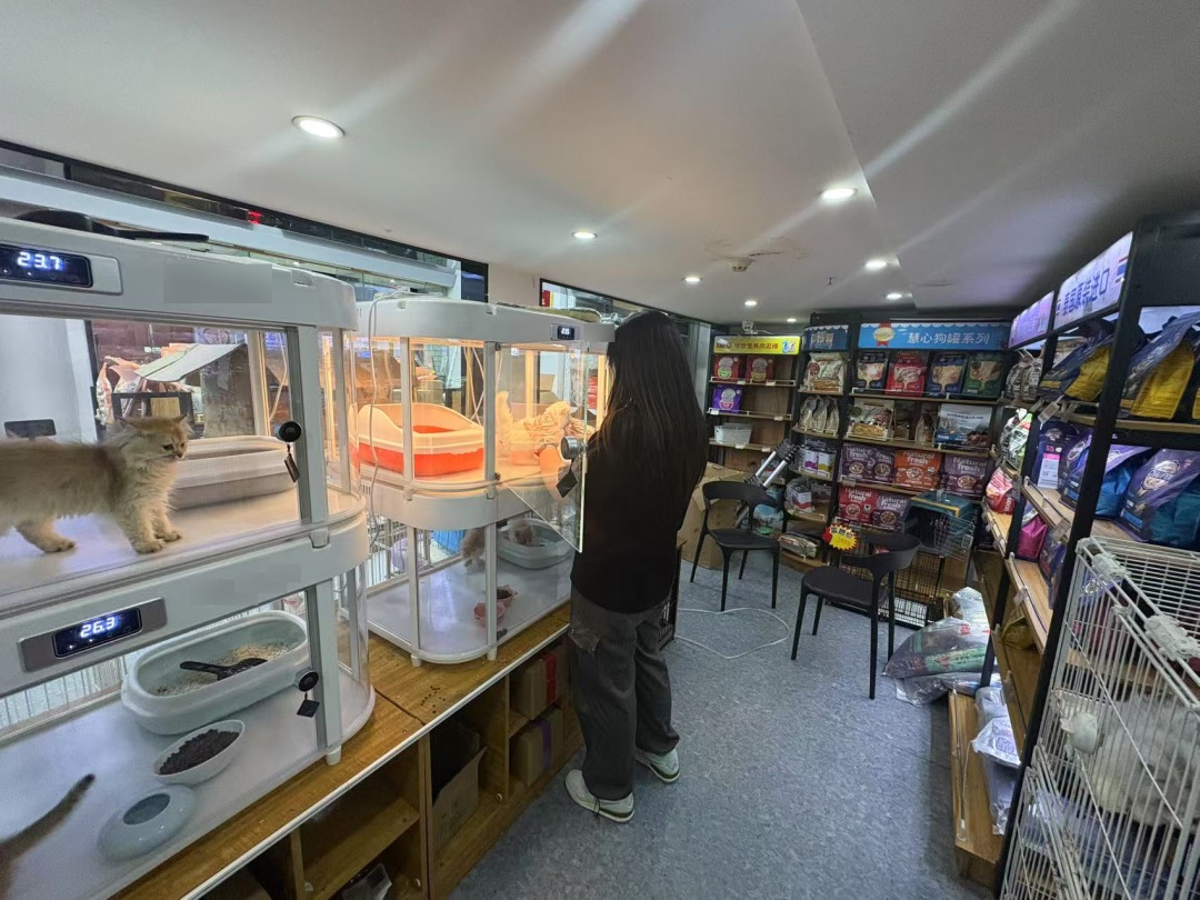 全国首个“宠物”本科专业来了！就业前景如何？