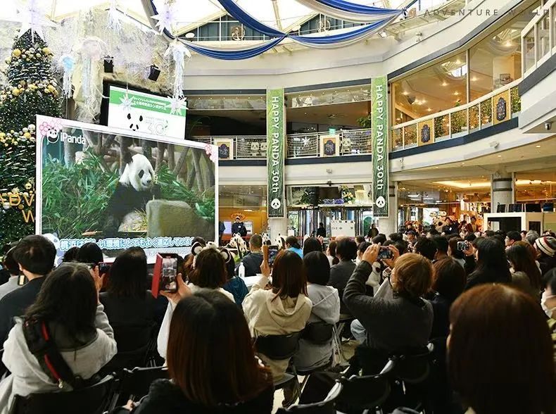 4只旅日大熊猫平安回国，开始接受隔离检疫