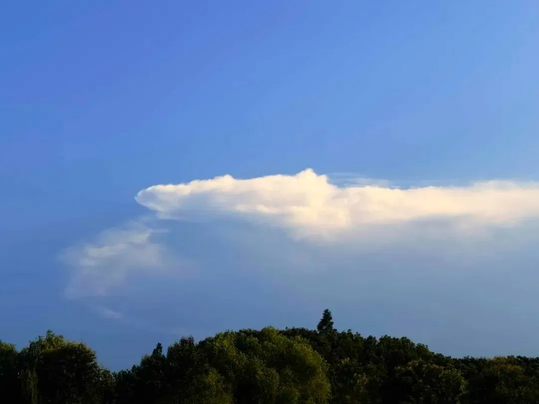 雷电黄色预警！下周直冲40℃！医生提醒：室内也有中暑风险