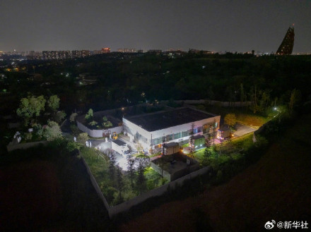 欢迎回家！旅日大熊猫回国高清大图