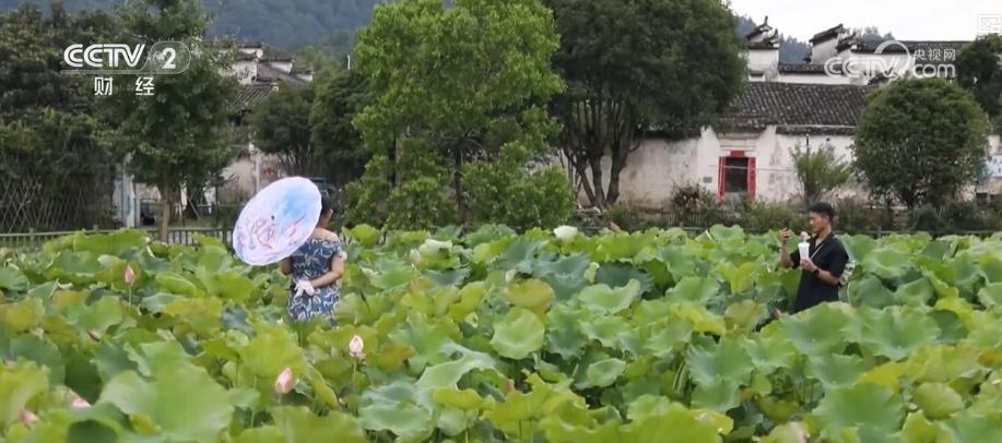 自然景观与传统文化深度融合 古村落游持续升温