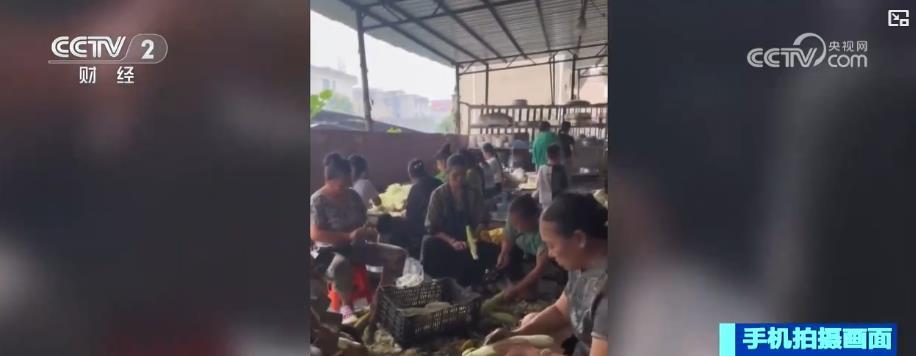 抗洪救灾中的温暖力量:村民接力帮厨 合约食堂变“前线补给站” 抗洪救灾中的温暖力量:村民接力帮厨 合约食堂变“前线补给站”