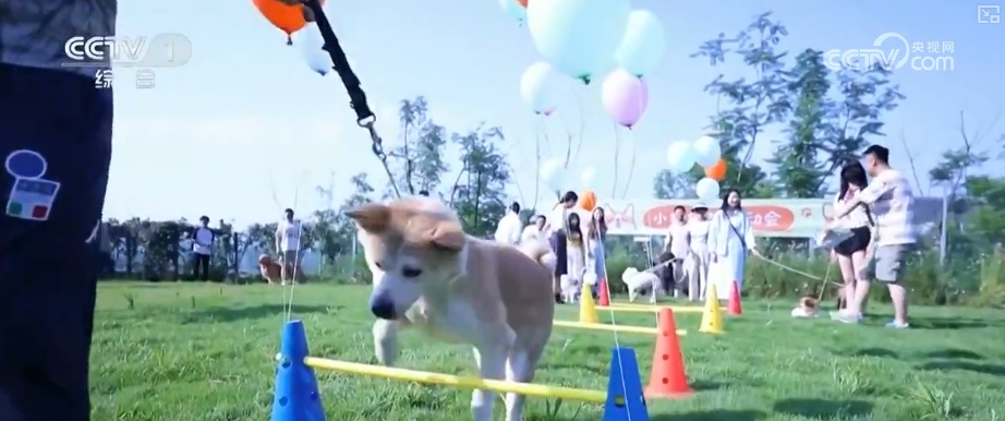 @所有考生，填报志愿需要一味求新吗？新专业新在哪里？解答梳理↓