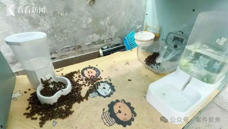 上海很多小区出现了智能猫屋？近期特别容易臭！网友吵翻了