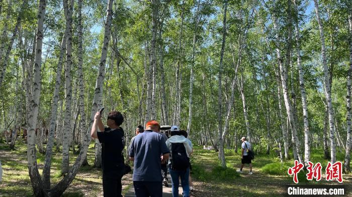 从白桦林到“亚洲第一湿地” 台胞探访额尔古纳