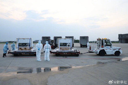 欢迎回家！旅日大熊猫回国高清大图