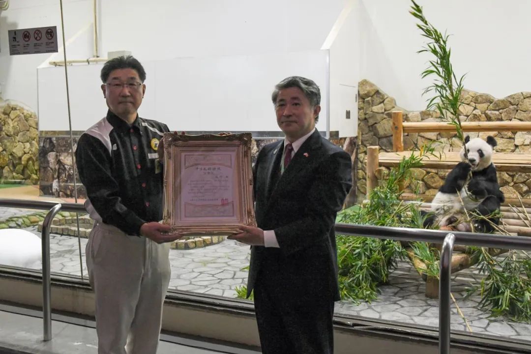 4只旅日大熊猫平安回国，开始接受隔离检疫