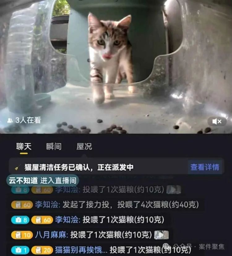 上海很多小区出现了智能猫屋？近期特别容易臭！网友吵翻了