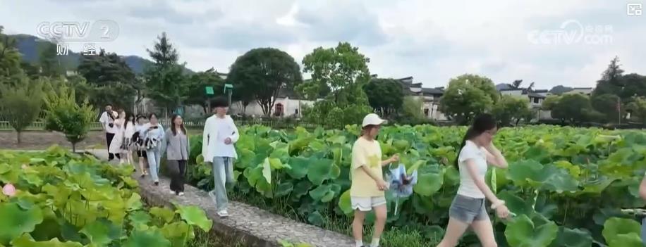 自然景观与传统文化深度融合 古村落游持续升温