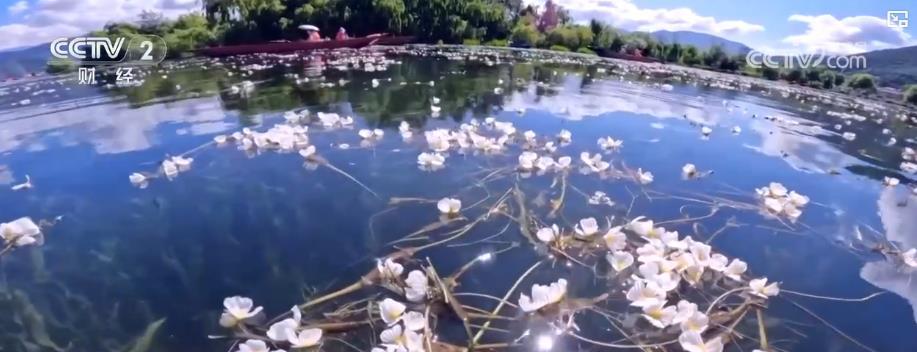 生态之花绽放:一湖清水见证绿色发展红利 生态之花绽放:一湖清水见证绿色发展红利