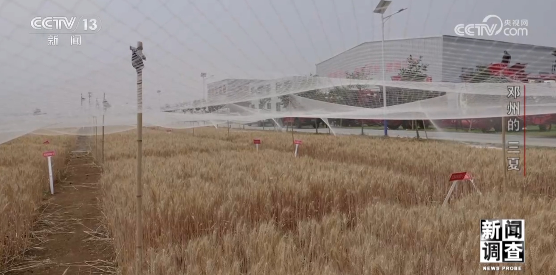 新闻调查丨农业社会化服务不断成熟 来看粮仓邓州的实践 新闻调查丨农业社会化服务不断成熟 来看粮仓邓州的实践