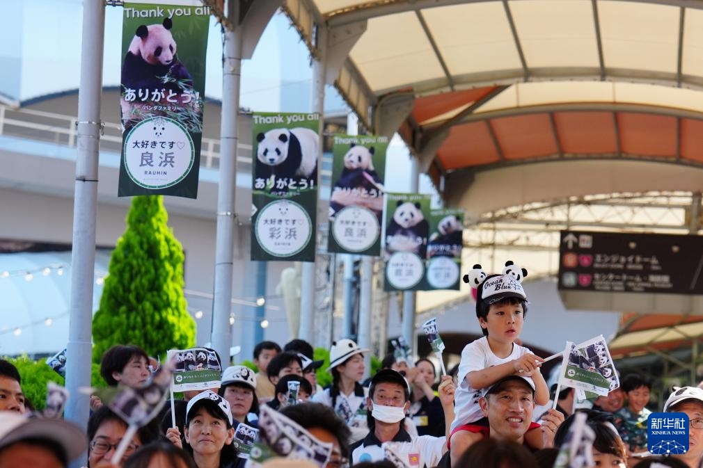 通讯丨日本熊猫迷惜别归国大熊猫 通讯丨日本熊猫迷惜别归国大熊猫