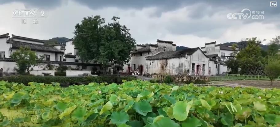 自然景观与传统文化深度融合 古村落游持续升温