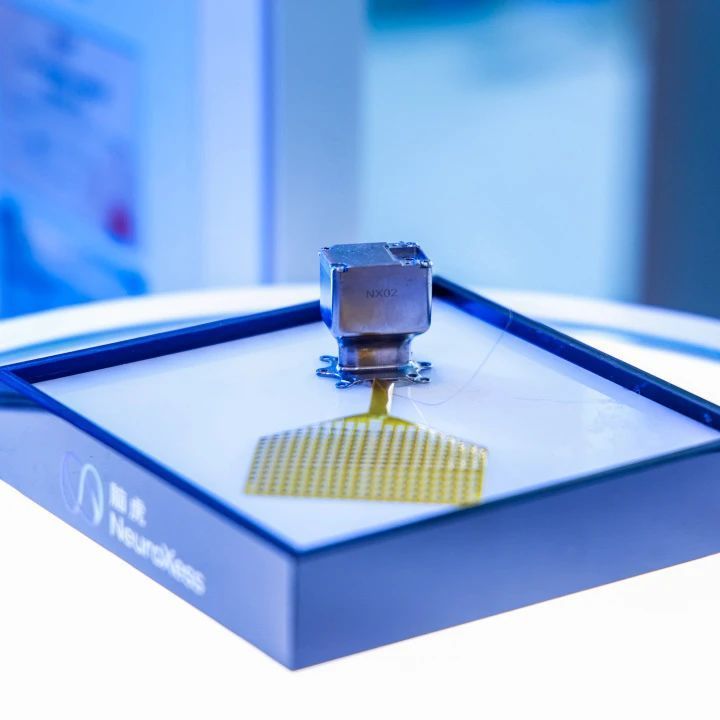 上海布局全国首个脑机接口未来产业集聚区，有何优势？怎样发力？