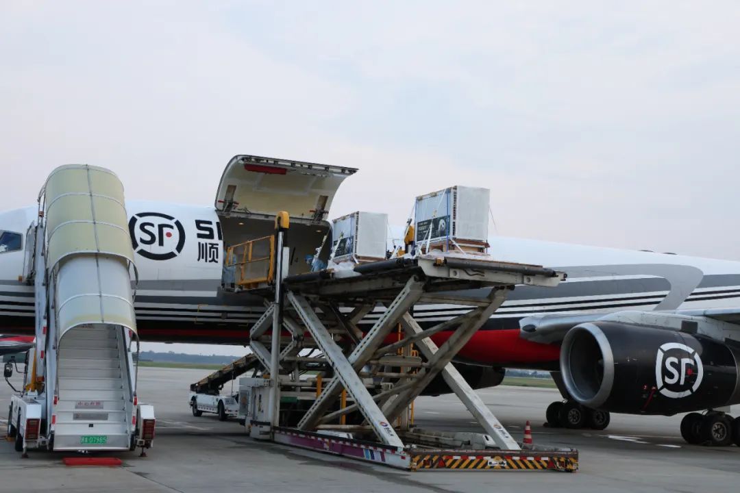 4只旅日大熊猫平安回国，开始接受隔离检疫