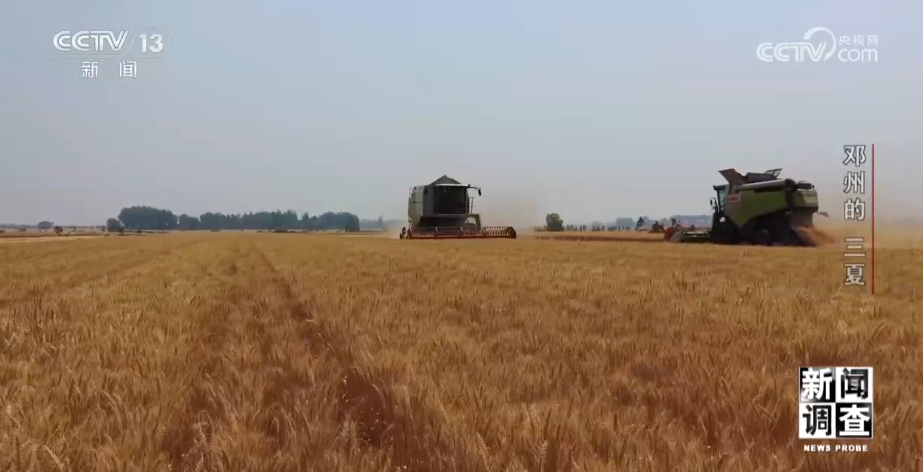 新闻调查丨农业社会化服务不断成熟 来看粮仓邓州的实践 新闻调查丨农业社会化服务不断成熟 来看粮仓邓州的实践