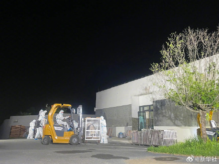 欢迎回家！旅日大熊猫回国高清大图