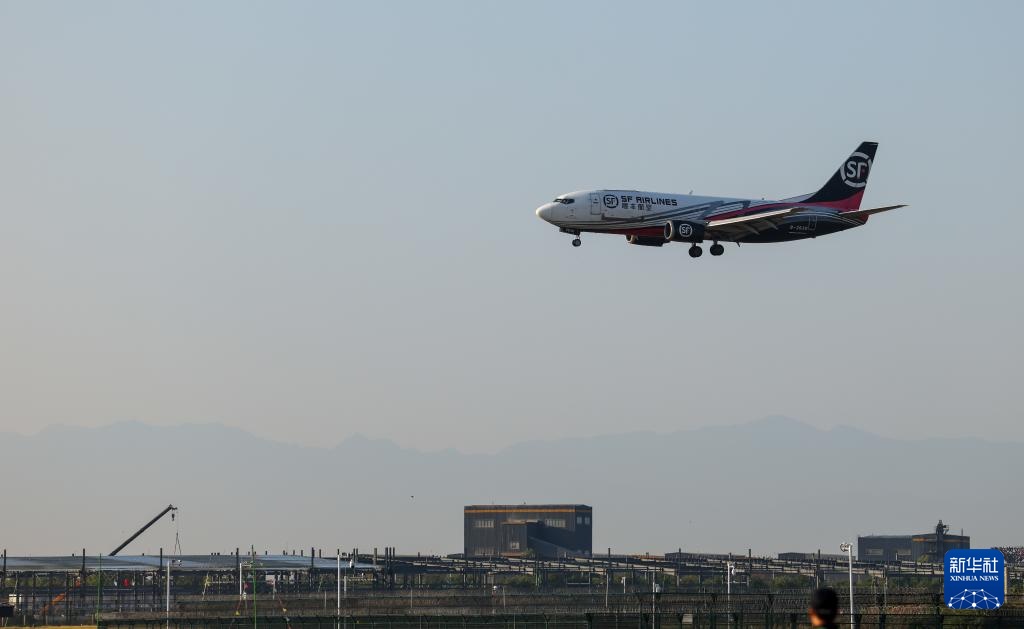 诗意中国丨从岭南到长安——荔枝的十二时辰