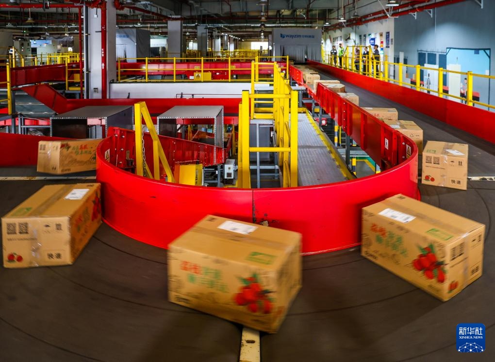 诗意中国丨从岭南到长安——荔枝的十二时辰